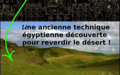 Une jeune startup découvre une ancienne technique égyptienne pour reverdir le désert