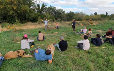 Reportage : Partage de savoirs autour du jardinage naturel – Vivre Son Age